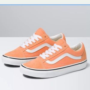 Vans Old Skool Shoes